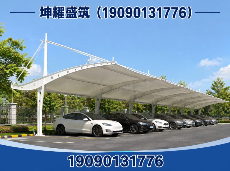 和硕县膜结构施工展示图